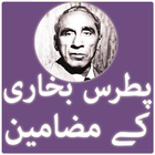 Patras Bukhari Ke Mazameen simgesi