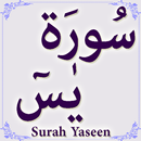APK Surah Yaseen
