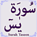 Surah Yaseen APK