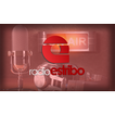 Radio Estribo