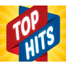 Top Hits Alegrete aplikacja