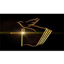 Levados ao Reino de Deus APK