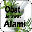 Obat Jerawat Alami