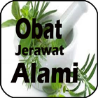 Obat Jerawat Alami biểu tượng