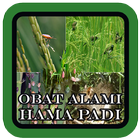 Obat Alami Hama Padi आइकन