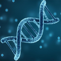 Hsc Biology Trick