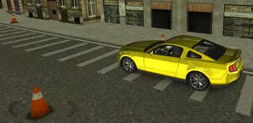 Car Driver Simulator
