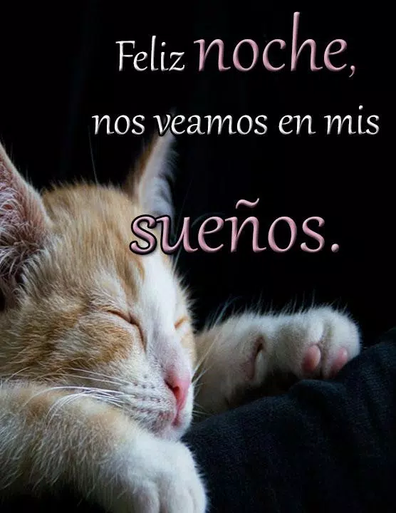 Buenas Noches mi Amor te Amo APK pour Android Télécharger Buenas Noches mi Amor te Amo APK pour Android Télécharger