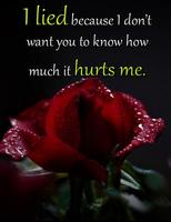 Sad & Broken Quotes 截圖 3