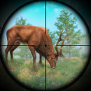 Geyik Avı Simülasyon Oyunu APK
