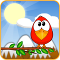 Save the Birds!