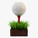 Mini Golf Club APK