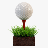 Mini Golf Club APK