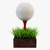 APK Mini Golf Club