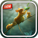 Cute Mouse Photo Frame APK