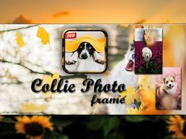 Collie Photo Frame poster