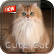 Cute Cat Photoc Frame