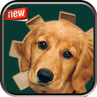 Baby Dog Photo Frame أيقونة