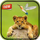 Animal PhotoFrame Collection APK