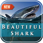 Beautiful Shark Photo Frame icon