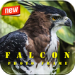 Falcon Photo Frame
