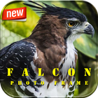 Falcon Photo Frame ikon