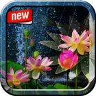 Lotus Photo Frame icono