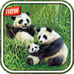 Beautiful Panda Photo Frame