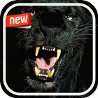 Panther Photo Frame icon