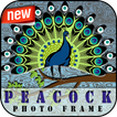 Peacock PhotoFrame