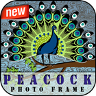 Peacock PhotoFrame ícone