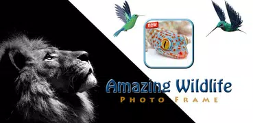 Amazing Wildlife Photo Frame