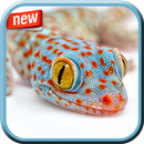 Amazing Wildlife Photo Frame APK