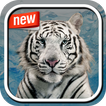 White Tiger Photo Frame