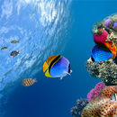 Ocean Aquarium 3D Free LWP APK