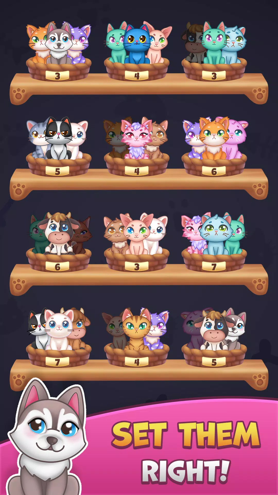 Cat Sort: Purrfect Match