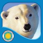 Polar Bear Horizon icône