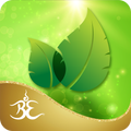 Manifesting Perfect Wellness