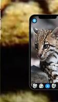 Ocelot Wallpaper screenshot 1