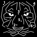 Dot to Dot Puzzles