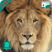Natural Animal Sounds and HD W