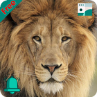Natural Animal Sounds and HD W أيقونة