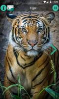 Natural Animal Sounds and HD W تصوير الشاشة 2