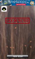 Lice Detector screenshot 2