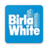 Birla White Repaint Putty