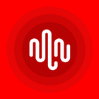 NCM icon