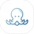 Octofy