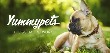 Yummypets - Dogs Cats Network