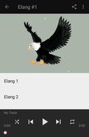 Masteran Burung Elang 截圖 2