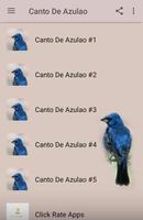 Canto De Azulao 截图 1